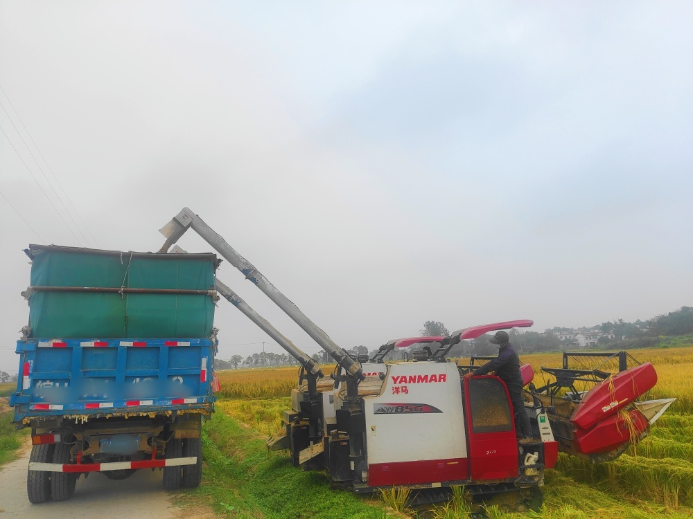 d161a7692a9a85816549e5a1c4dfba15 (1)_副本_副本.jpg