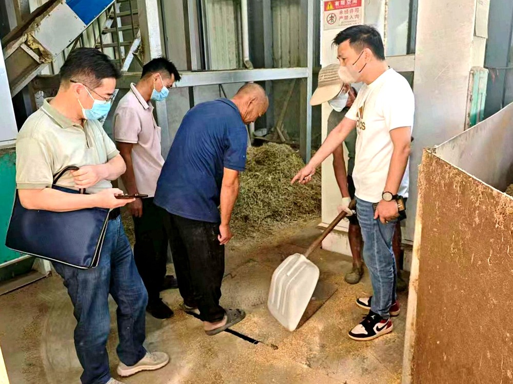 /uploads/image/2025/10/15/ed04e358fc54a1cf980fdb17fc646bfa.jpg af498460a22aa1cdde940f13b216b27c.jpg