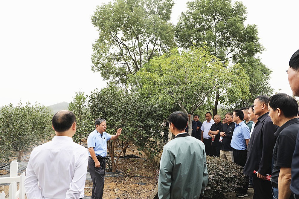 /uploads/image/2025/10/16/db5dca0bbef9efdb1895a40d804be473.jpg 1015图为培训现场2_副本.jpg