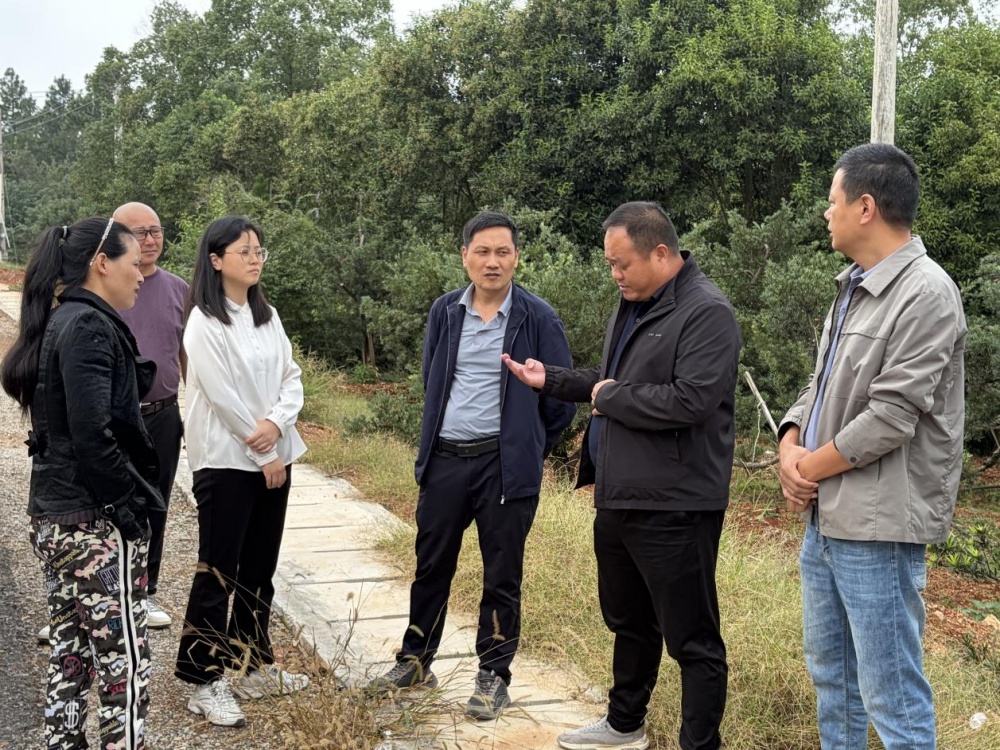 /uploads/image/2025/10/17/92544ab5c0da0df178d9164bdd50ca6a.jpg 图片1_副本.jpg