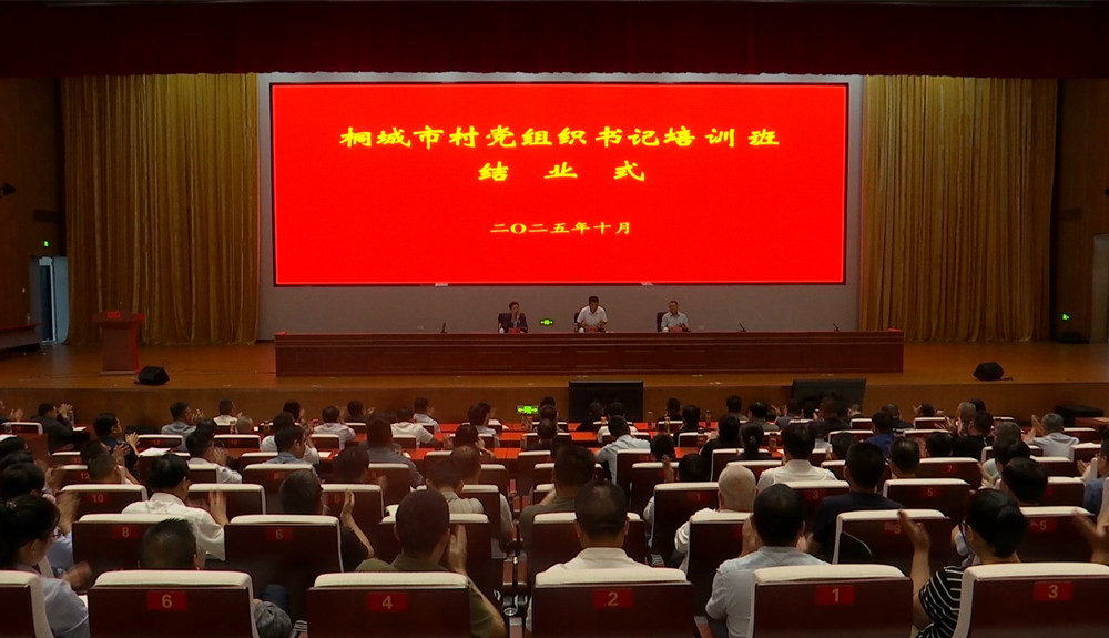 /uploads/image/2025/10/19/8e7814aad6855ab9b7f8c69845bd3e48.jpg 0.jpg