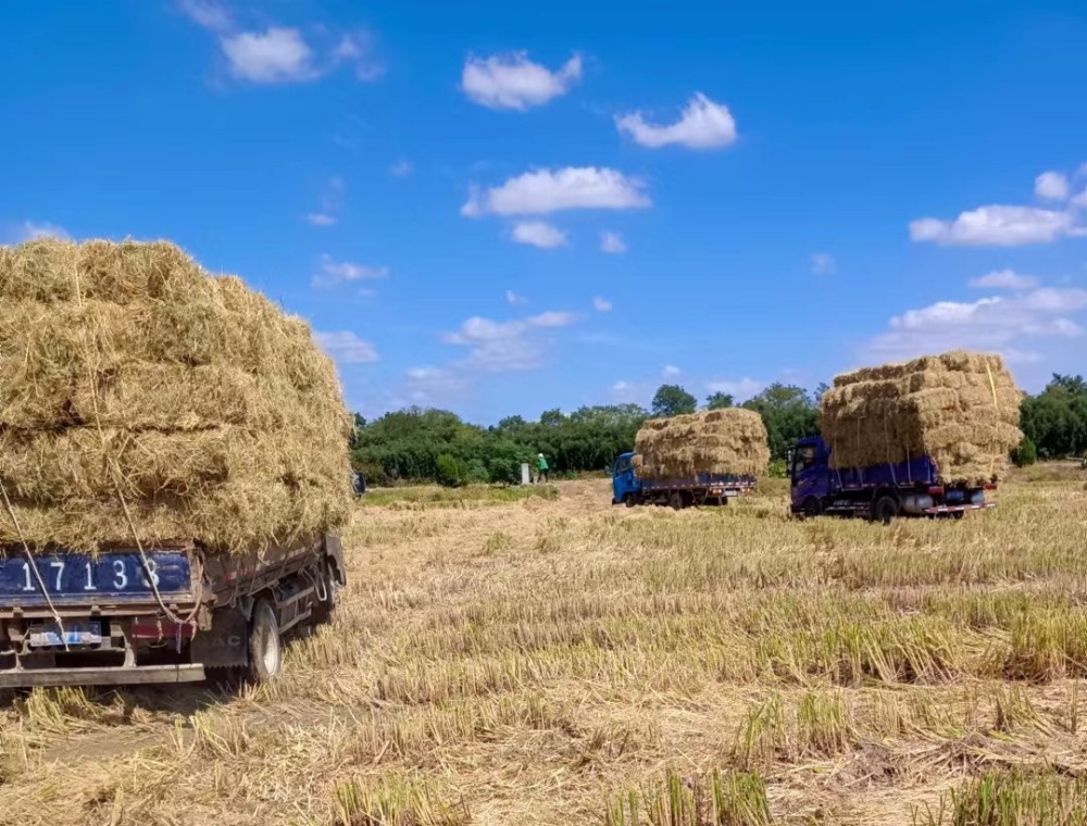 /uploads/image/2025/10/20/4f4607b0804c4fc8342d776428639b24.jpg 2.jpg