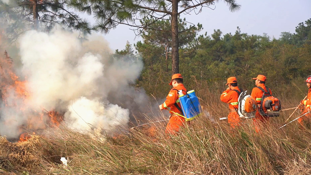 /uploads/image/2025/10/28/1137d0df9826e7824c92fa31eb28e423.jpg 微信图片_20251028162136_副本.jpg