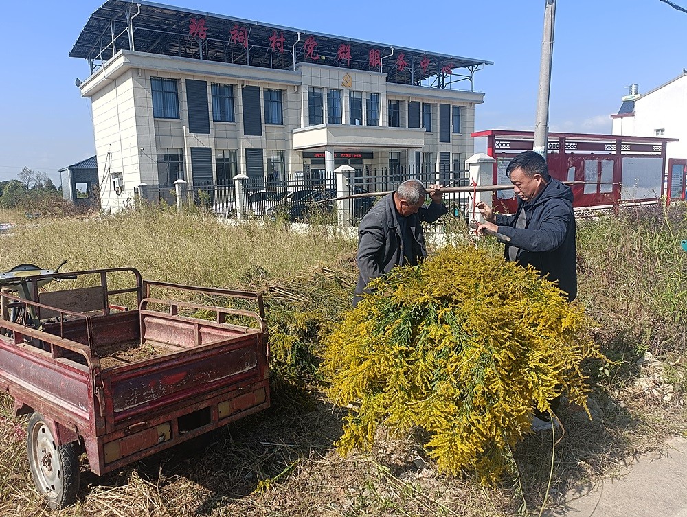 /uploads/image/2025/10/31/d0ce26281f3007e1eb22ee0582723d5e.jpg 0.jpg