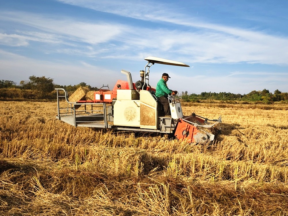 /uploads/image/2025/11/04/7fd9ad2fa80f9c24a636d270771294bd.jpg D23D9291@A8647A06.5CA80969_副本.jpg