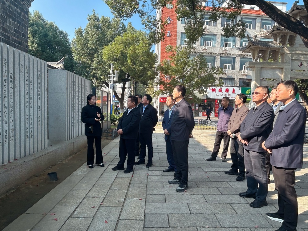 /uploads/image/2025/11/05/3a35aac6fe70577901162a2d31e11368.jpg 调研组在桐城市六尺巷调研.jpg