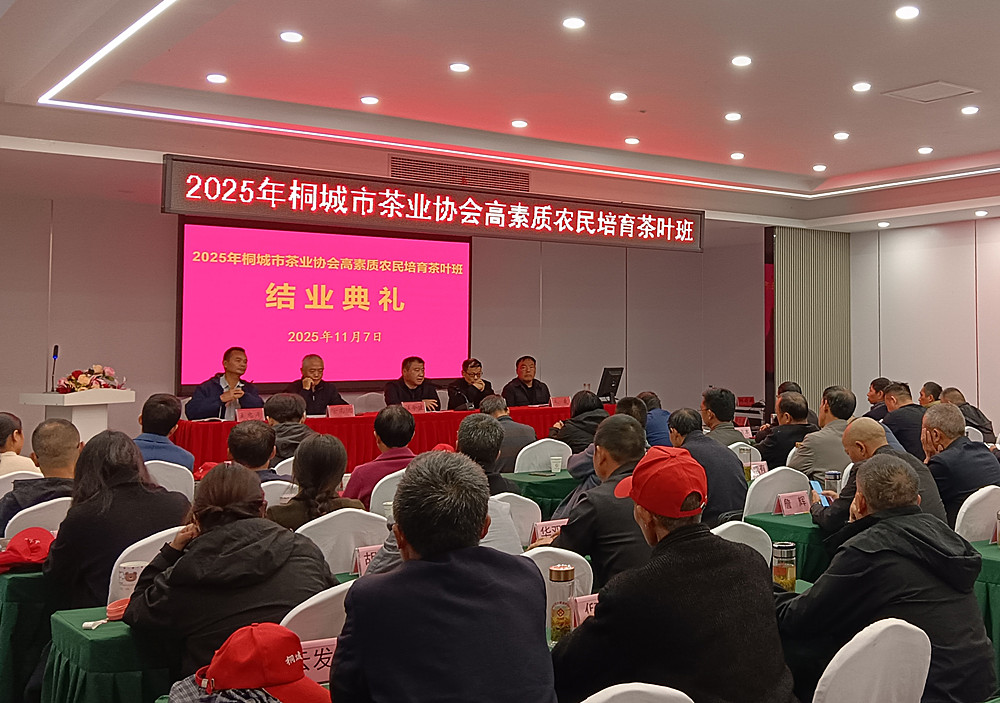 /uploads/image/2025/11/10/8aca6c2e6312e28052be6fda6a51dd2c.jpg 11.jpg