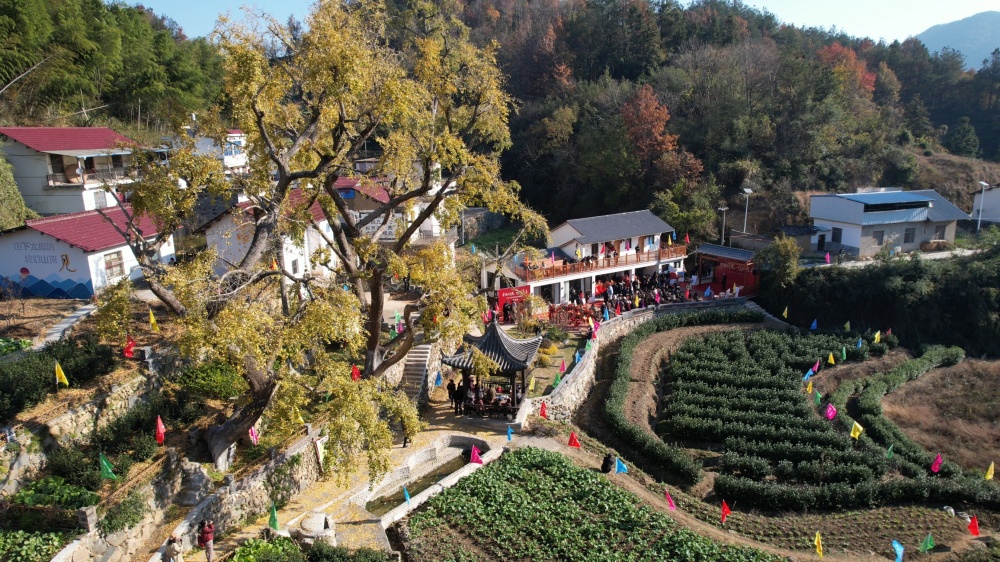 /uploads/image/2025/11/21/d6a02ae33a9979bb50cd36272bd65b04.jpg 半隐山居 (4).jpg