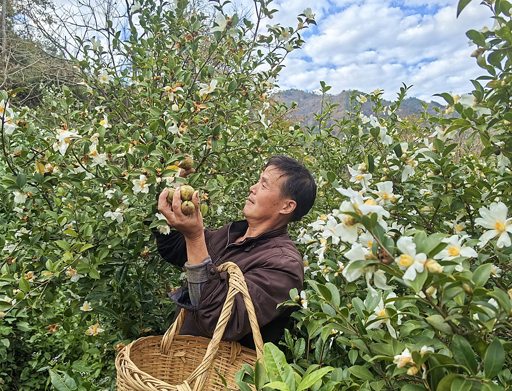 /uploads/image/2025/11/25/751d2002b893c02bb467a85fd24c6e0a.jpg 9.jpg