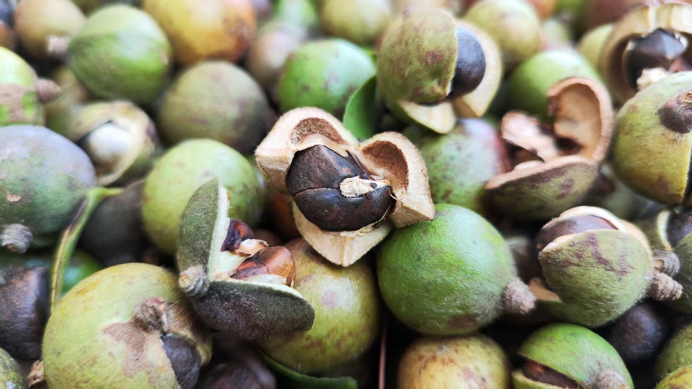 /uploads/image/2025/11/25/915844be9a0f3be532bf585cb017fc74.jpg 12.jpg