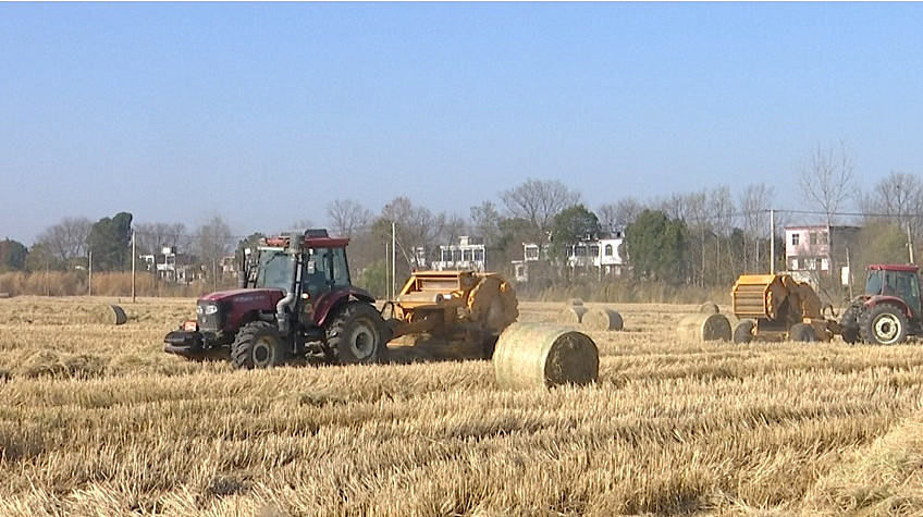 /uploads/image/2025/11/25/fe33596923af9781c1fa23268bed5864.jpg 1.jpg