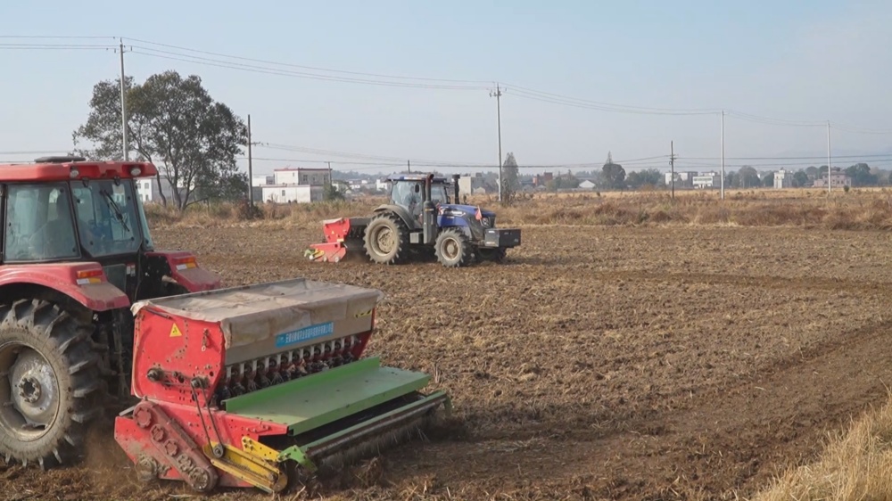 /uploads/image/2025/11/25/fffe1463e87fb50774f498f0b8f383a2.jpg 播种 (2).jpg