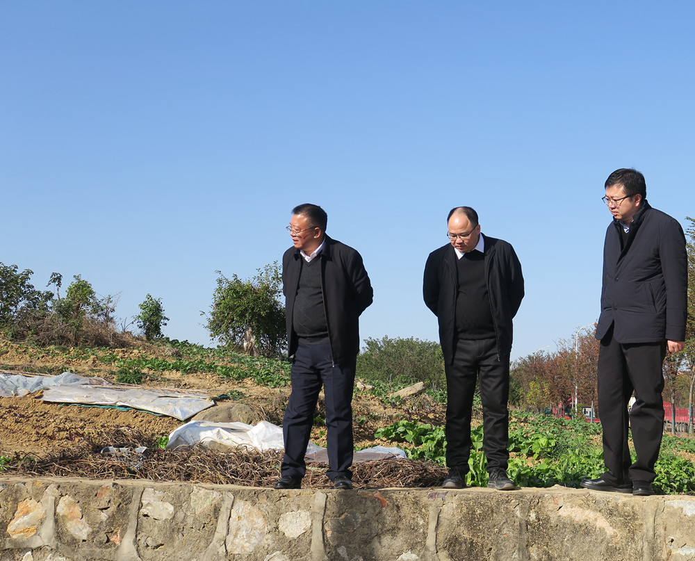 /uploads/image/2025/11/26/f1b4d1df028926acb099aa719261458f.jpg 12章周中在南干渠调研_副本.jpg