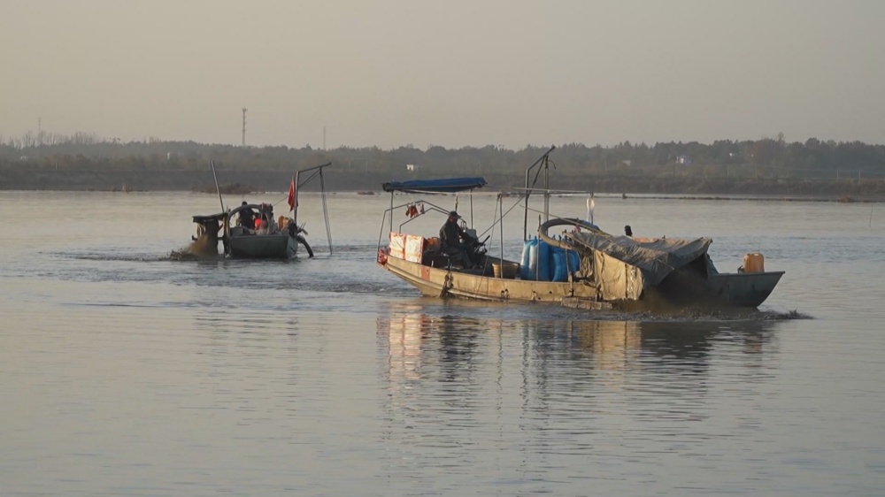 /uploads/image/2025/11/28/54a1086837ec50bbd7925f12c5b53e78.jpg 芡实 (1)_副本.jpg