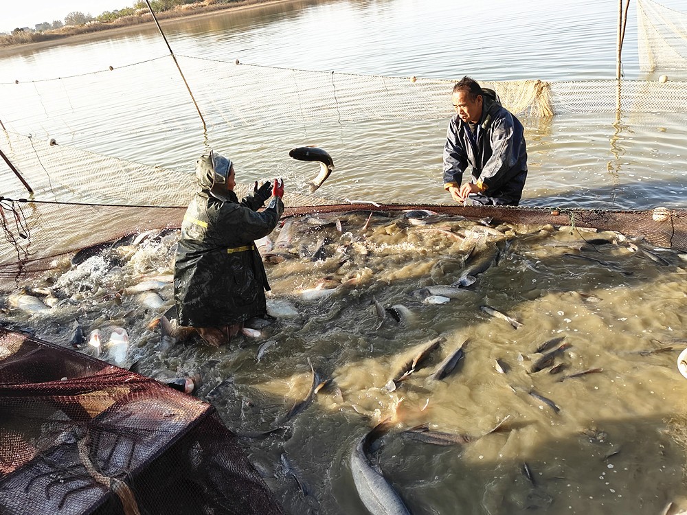 /uploads/image/2025/11/28/478e8d086abaff365bbf26b7c7c3c83d.jpg a7906d2ba921be14206055fea0b670a5_副本_副本.jpg