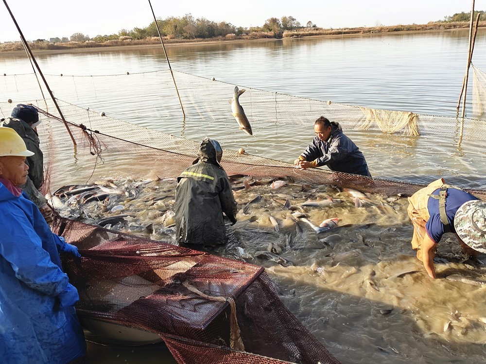 /uploads/image/2025/11/28/643871df81747e59eaeb1a1732c3c637.jpg dccee014049f6d17db9e8a2774df5a3f_副本.jpg