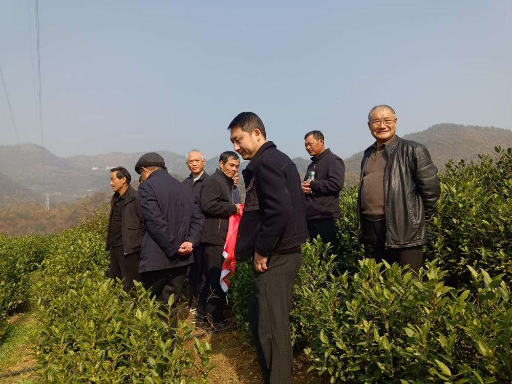 /uploads/image/2025/12/03/e263b6a5138d3ae17d75ca2fd196b31f.png 图片2_副本.png