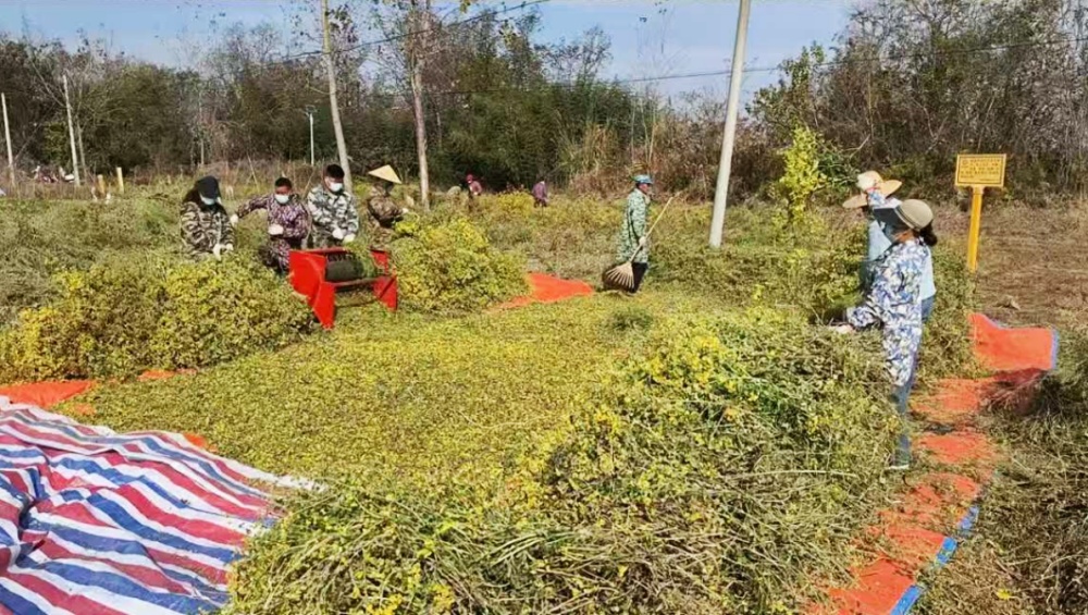 /uploads/image/2025/12/08/1029e4712150e74f9f97779692c66bd2.jpg 图片1.jpg