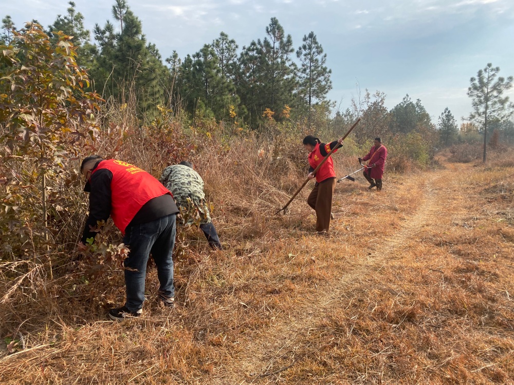 /uploads/image/2025/12/10/c3fc948b67733cfa4d4abd2ef6c95716.jpg 合河村志愿者进行防火隔离带杂草清除工作.jpg