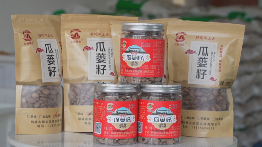 /uploads/image/2025/12/10/3d7b81280ca587a628c9903df6eea7aa.bmp 瓜蒌 (1).bmp