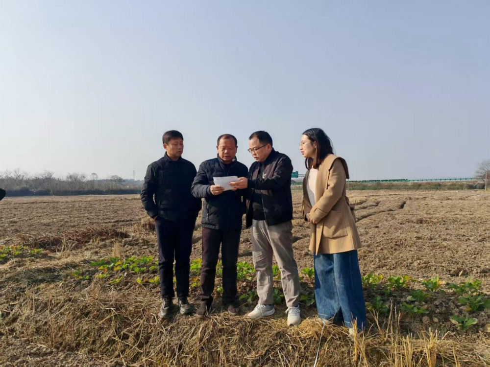 /uploads/image/2025/12/11/95a6354c2bc4de94dc5a2ba9cb954971.png 图片1_副本.png