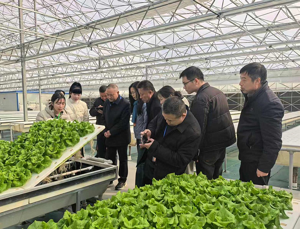 /uploads/image/2025/12/15/42101e8d44f43cb0bff261245d4d6946.jpg 0.jpg