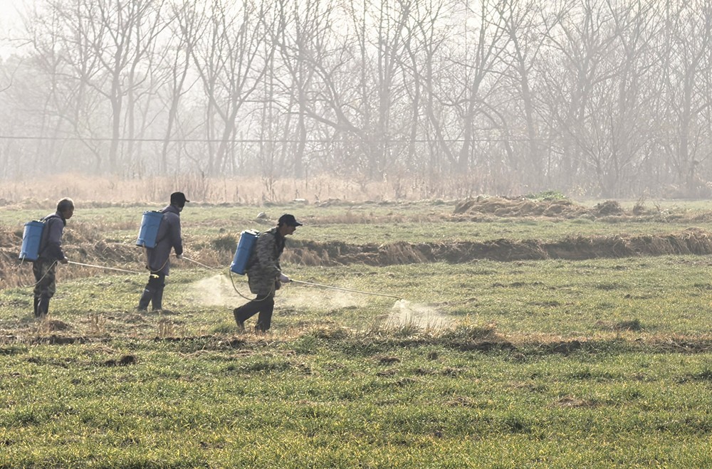 /uploads/image/2025/12/19/ca3b5b4443200dd7b927c039dbb1472e.jpg 5863d76e259b098719c803d7ed15386 (1)_副本.jpg