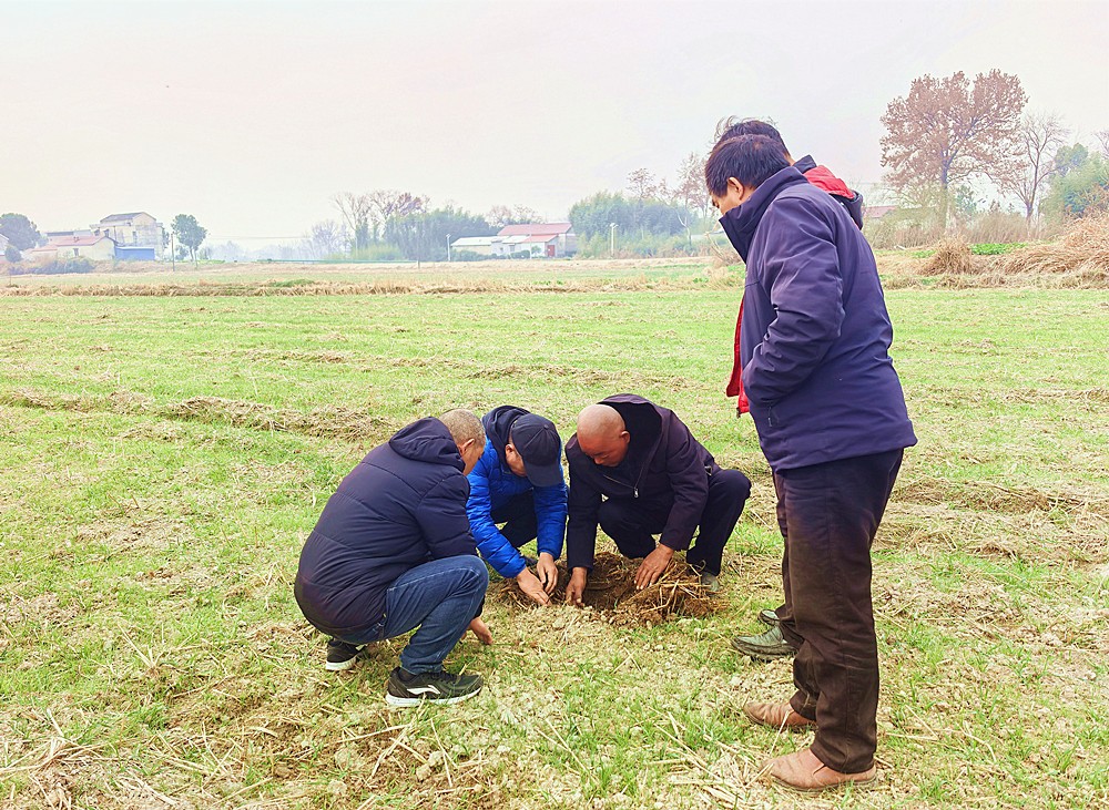 /uploads/image/2025/12/23/0aac61d492dd1a788e1afe0682db57b5.jpg 0.jpg