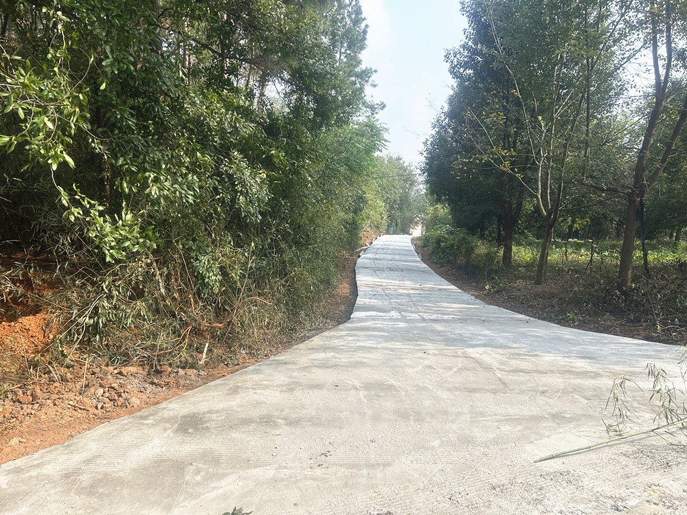 /uploads/image/2026/01/08/6c99b208fd7cbb50abedff53c494c740.jpg 微信图片_20251218162358_161_12_副本.jpg