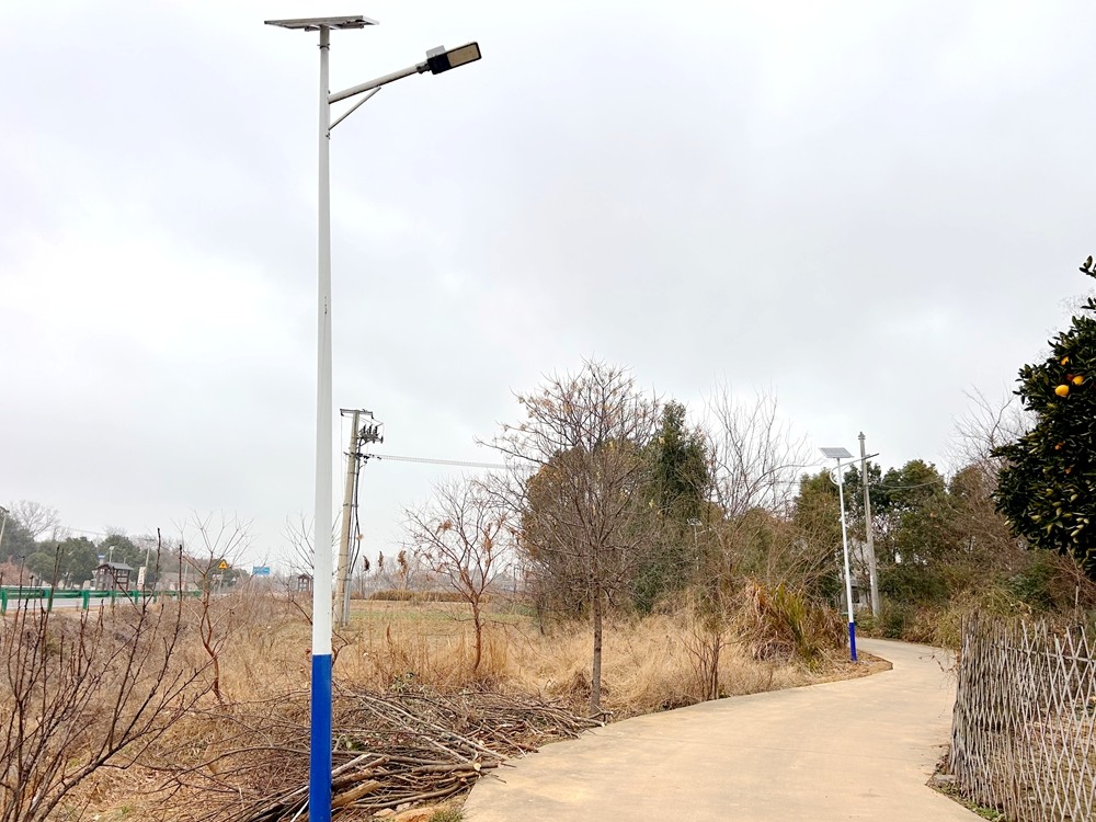 双店村乡贤捐赠路灯.jpg
