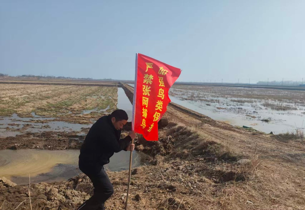 图为工作人员到湖泊插设警示旗 (1)_副本.jpg