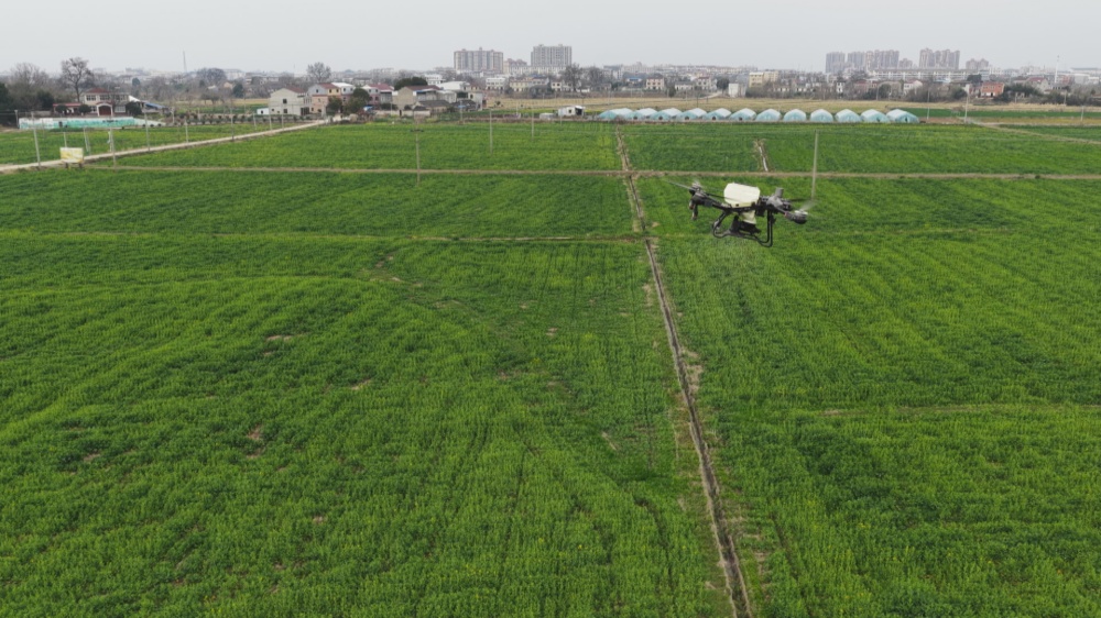 图为农技人员指导种植大户利用无人机喷施肥料..jpg