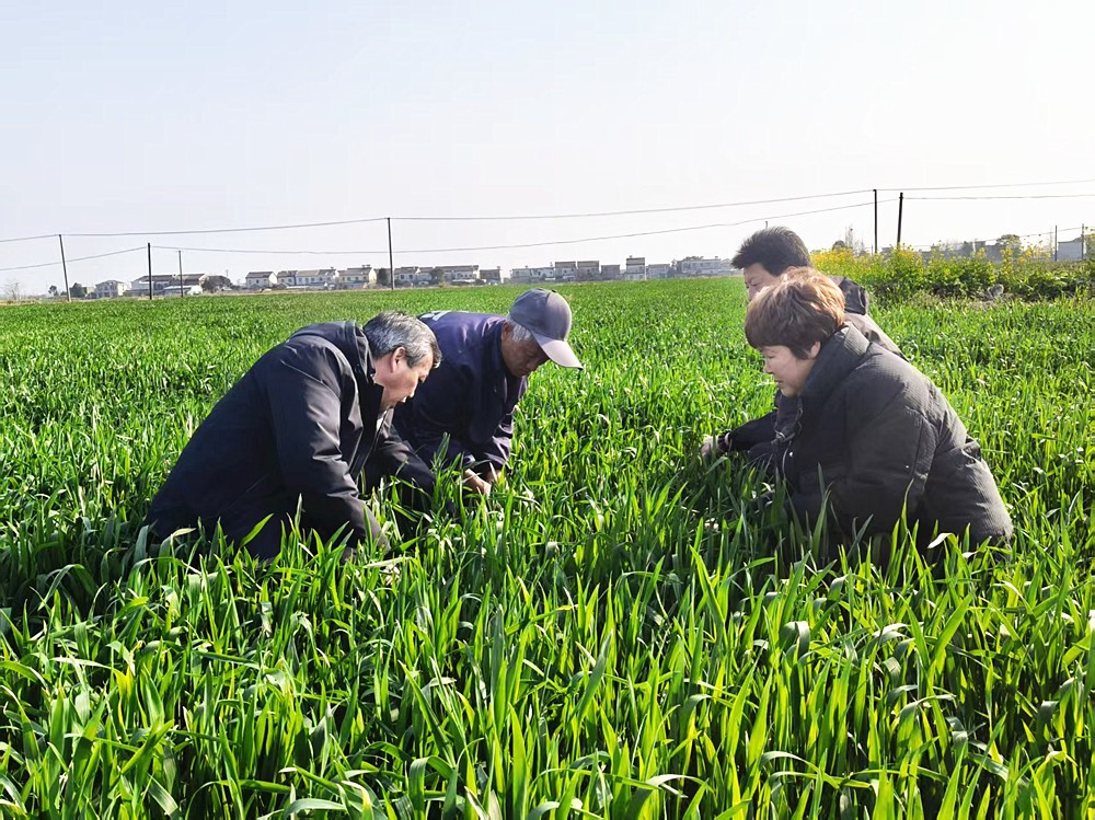 /uploads/image/2026/03/11/00f8798773545942dd5bed77d22e3dd7.jpg 微信图片_20260311102651_950_83_副本.jpg