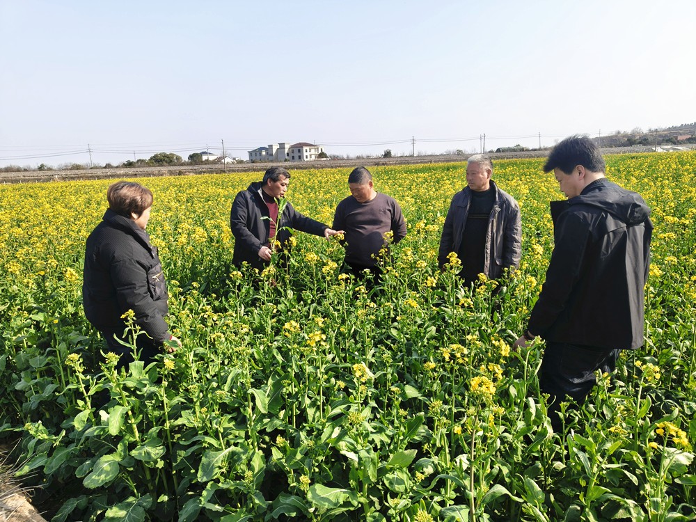 /uploads/image/2026/03/11/f2d5db51a08d95c8acd4b8c2111fc459.jpg 微信图片_20260311102701_951_83_副本.jpg