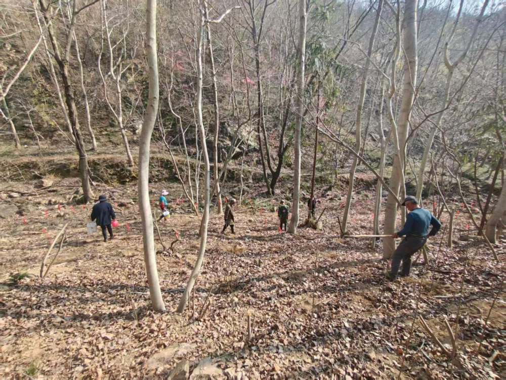 图片2 (1)_副本.png