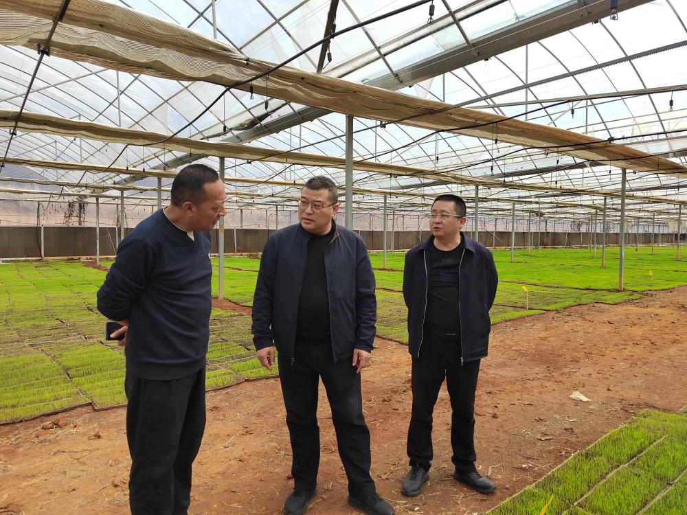 市农业农村局深入田间调研春耕.jpg