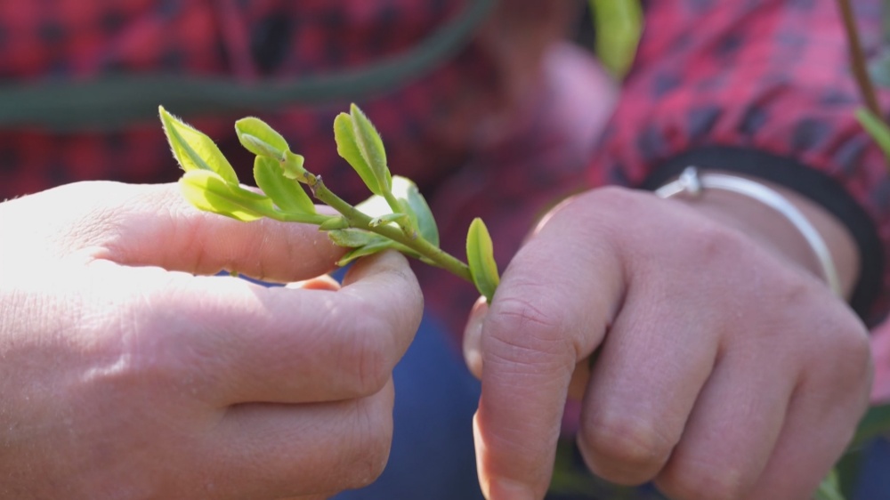 /uploads/image/2026/03/30/cb2b0b5c9e713a3517c67e3dbe950ef9.jpg 11(1).jpg