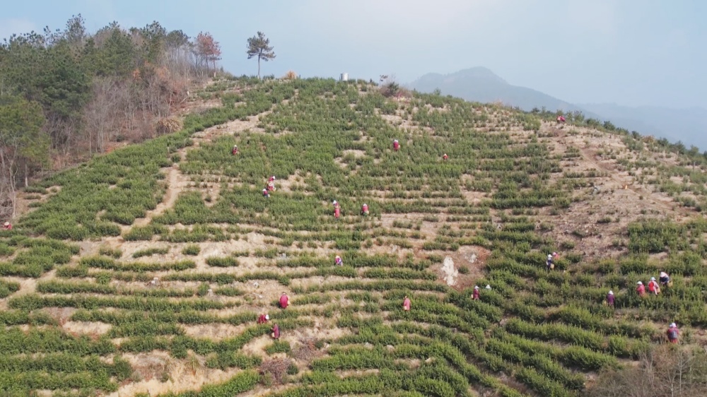 /uploads/image/2026/03/30/6a6d9a076783d0c114716675619e16f3.jpg 11.jpg