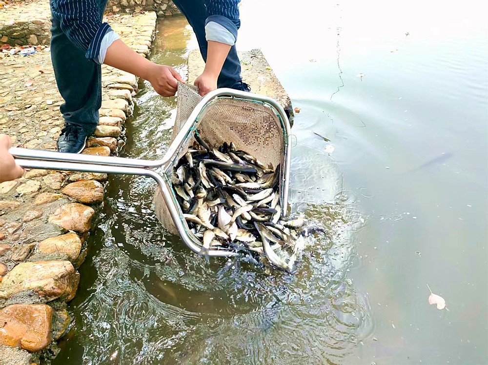 /uploads/image/2026/04/07/81d2962628a49ce28ef858d544df1378.jpg 1_副本.jpg