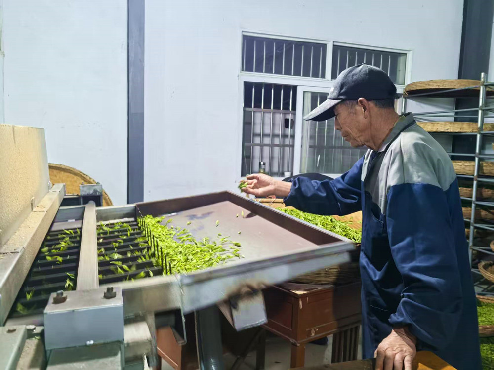 3 (1)_副本.jpg