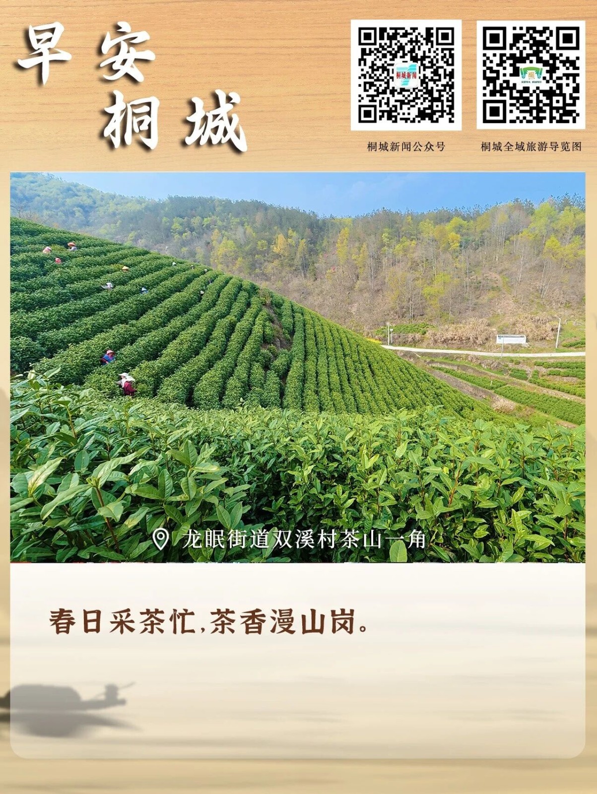 龙眠街道双溪村茶山一角.jpg
