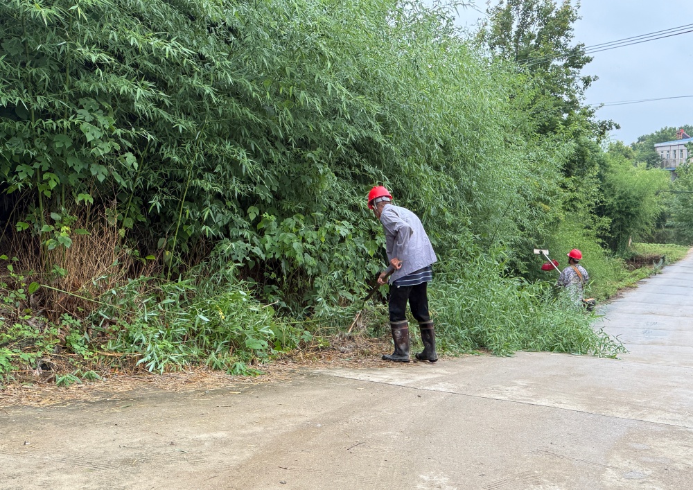 图为金神镇包圩村道路清障现场_副本.jpg