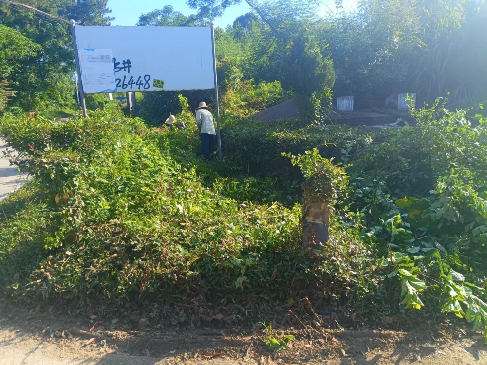 图为清理前的弯道路口_副本.jpg
