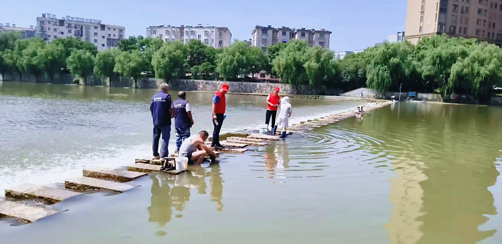 图片1_副本.jpg