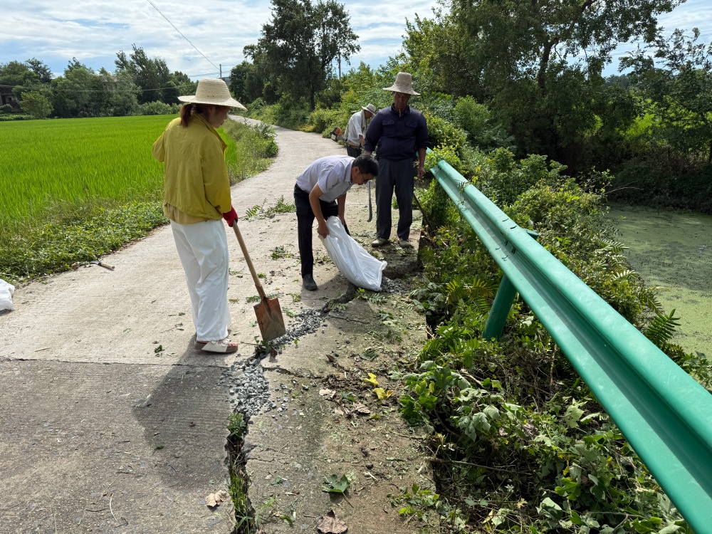 图为金神镇包圩村修补破损道路现场_副本.jpg