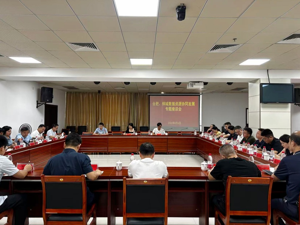 8月6日，合肥、桐城数据资源协同发展专题座谈会在数据局召开.jpg