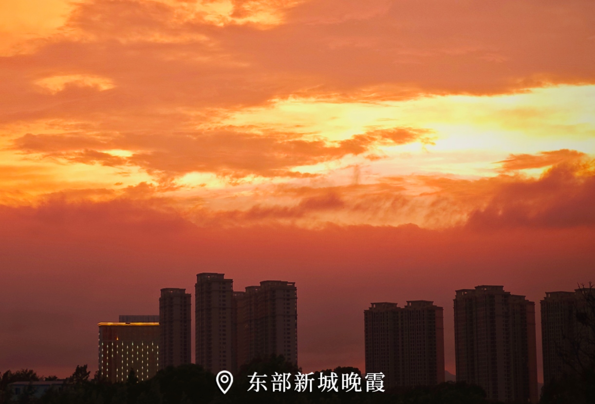 a6d16214099687ead9ddac8e323d9b12.jpg