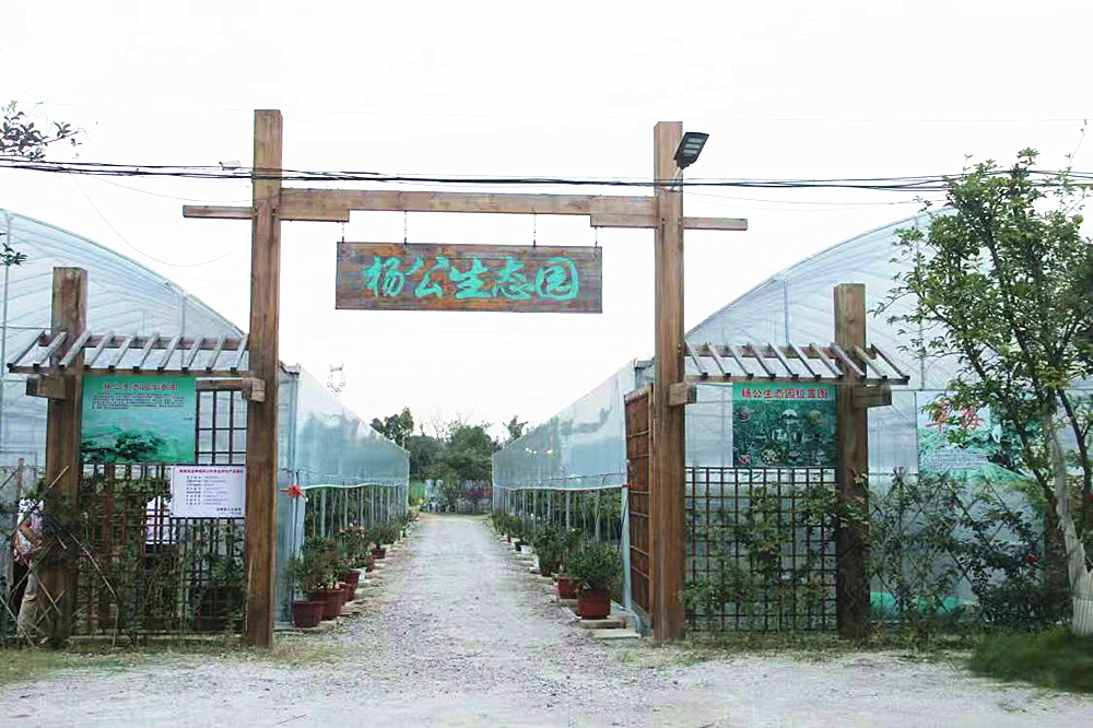 图为金神镇杨公村生态园_副本.jpg